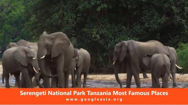 Serengeti National Park Tanzania Most Famous Places