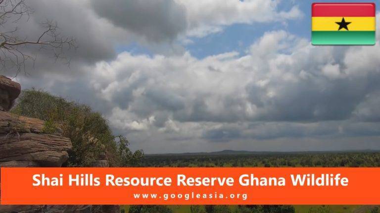 Shai Hills Resource Reserve Ghana Wildlife