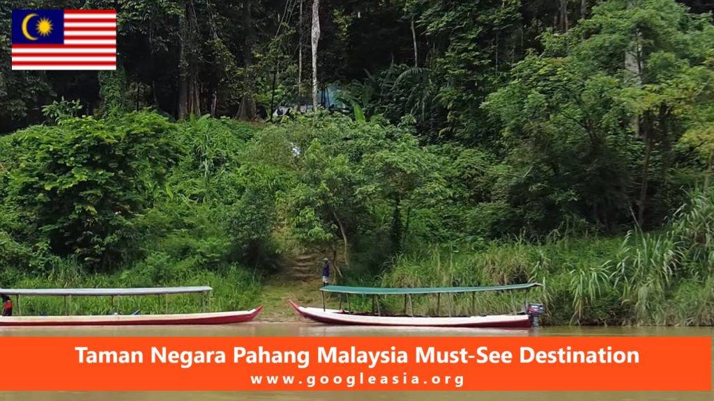 Taman Negara Pahang Malaysia Must-See Destination