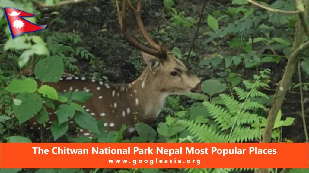 The Chitwan National Park Nepal Most Popular Places