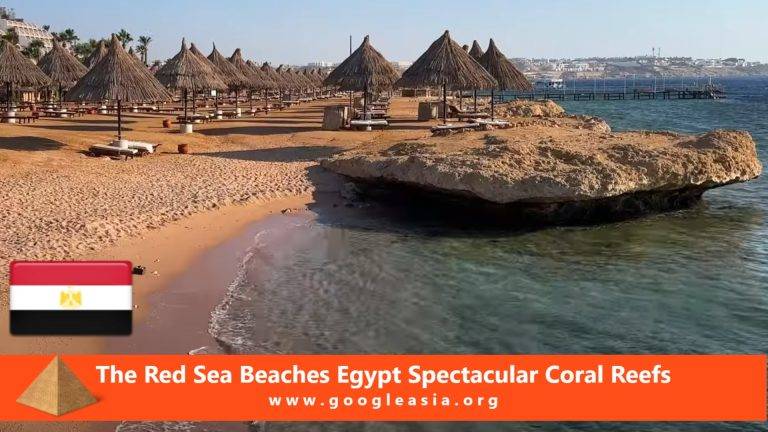 The Red Sea Beaches Egypt Spectacular Coral Reefs